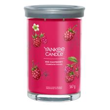 Yankee Candle Red Raspberry Large Tumbler Jar